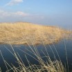 In der Märzsonne am Haff 1