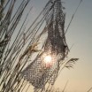 In der Märzsonne am Haff mit Netzstück 1