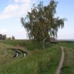 Deichlandschaft 1