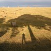 Abgeerntetes Feld mit Schatten 1