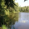 Sommer am Schwarzen See 1