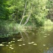 Sommer am Schwarzen See 1