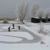 Spielende Kinder am Peeneufer bei Rankwitz