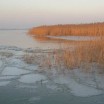 Winterabend an der Peene 1