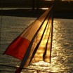 Flagge am Rhein