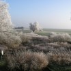 Reifblick aus meinem Fenster 1