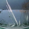 Eisnadel in Blau und auf Grün 1