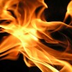 Feuerblume 1