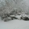 Warther Wintergarten Usedom 1