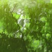 Parklandschaft Düsseldorf 2