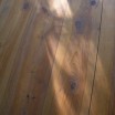 Lichtwesen auf Holzboden 1
