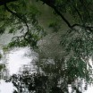 Parklandschaft Düsseldorf 1