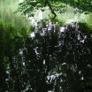 Parklandschaft Düsseldorf 2