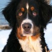 Oskar aus Warthe Usedom 1