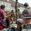 Lämmermarkt in Usedom 4